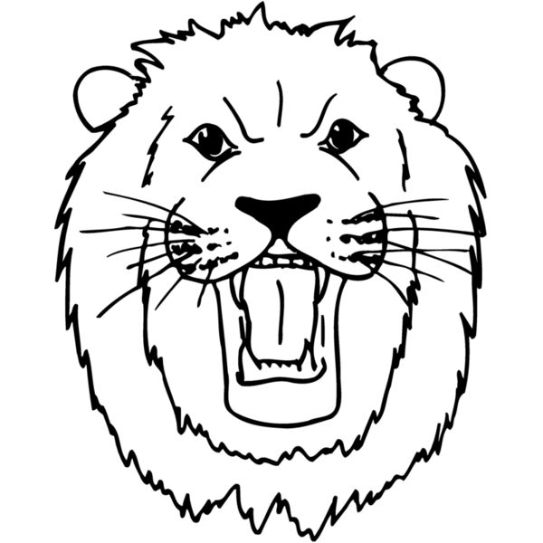 CAT10 Thumbnail