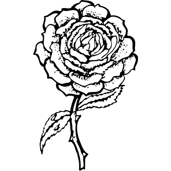 FLOWER05 Thumbnail