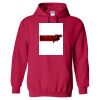 Heavy Blend™ Hooded Sweatshirt Thumbnail