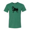 Bella/Canvas Triblend Tee Thumbnail