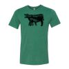 Bella/Canvas Triblend Tee Thumbnail