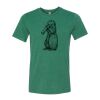 Bella/Canvas Triblend Tee Thumbnail
