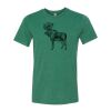Bella/Canvas Triblend Tee Thumbnail