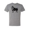 Triblend T-Shirt Thumbnail