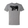 Triblend T-Shirt Thumbnail