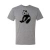 Triblend T-Shirt Thumbnail