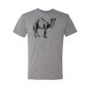Triblend T-Shirt Thumbnail