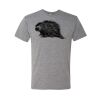 Triblend T-Shirt Thumbnail
