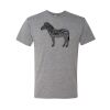 Triblend T-Shirt Thumbnail